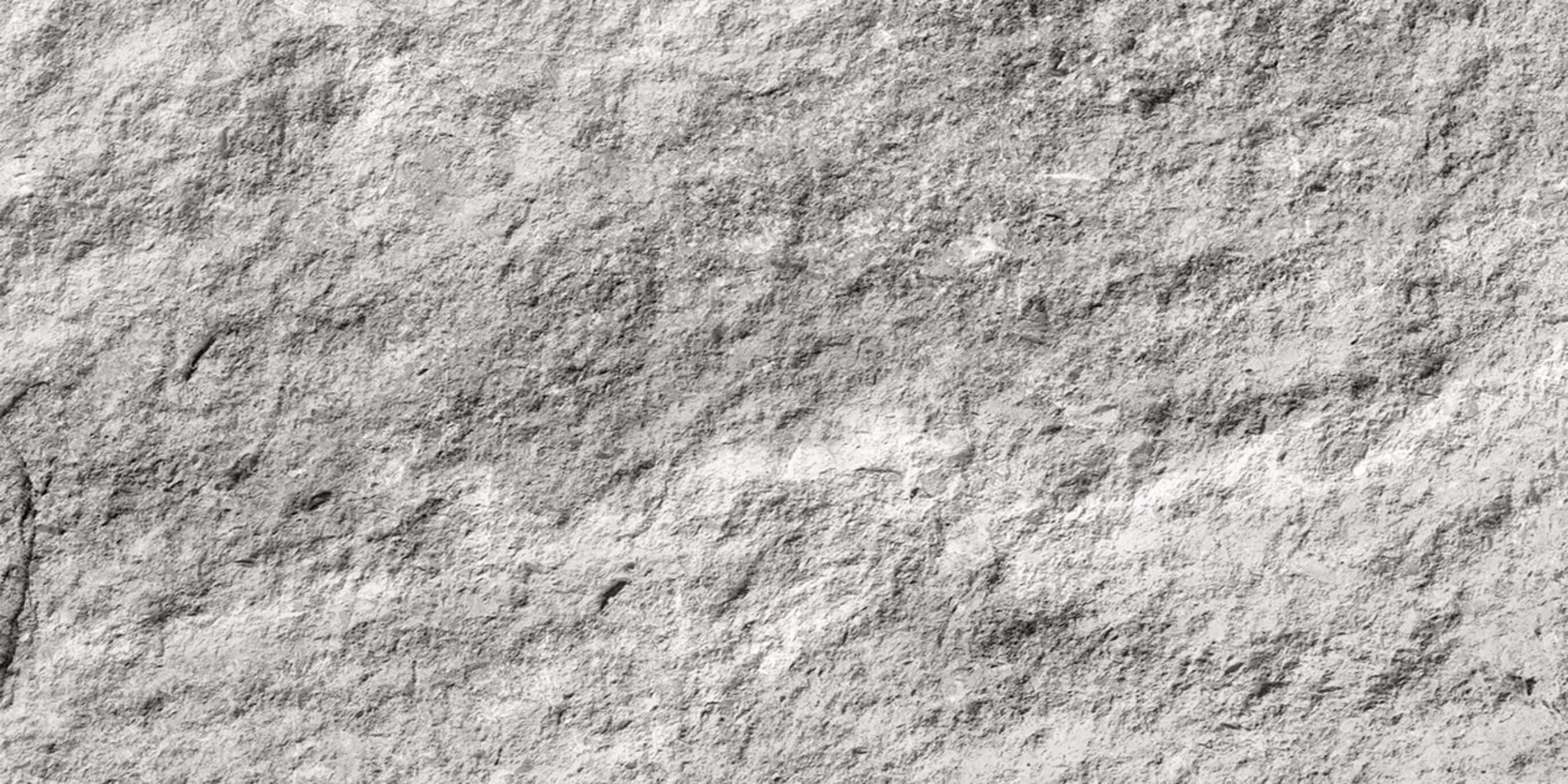 Velo Gris 