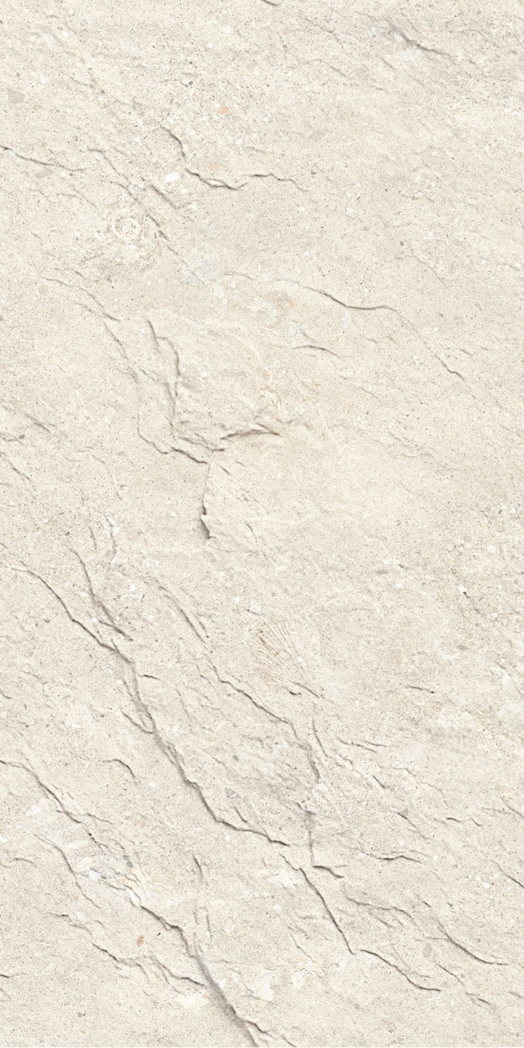 Monte Celestial-Shellfish piedra caliza Beige claro 