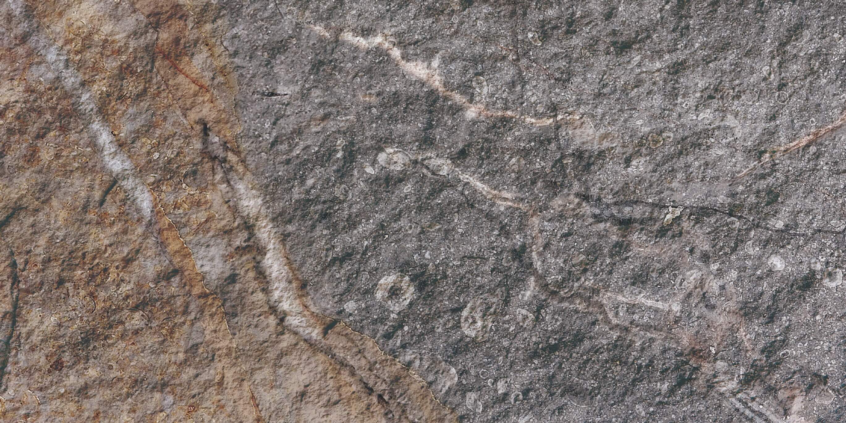 Rock Mottle Marr&oacute;n 