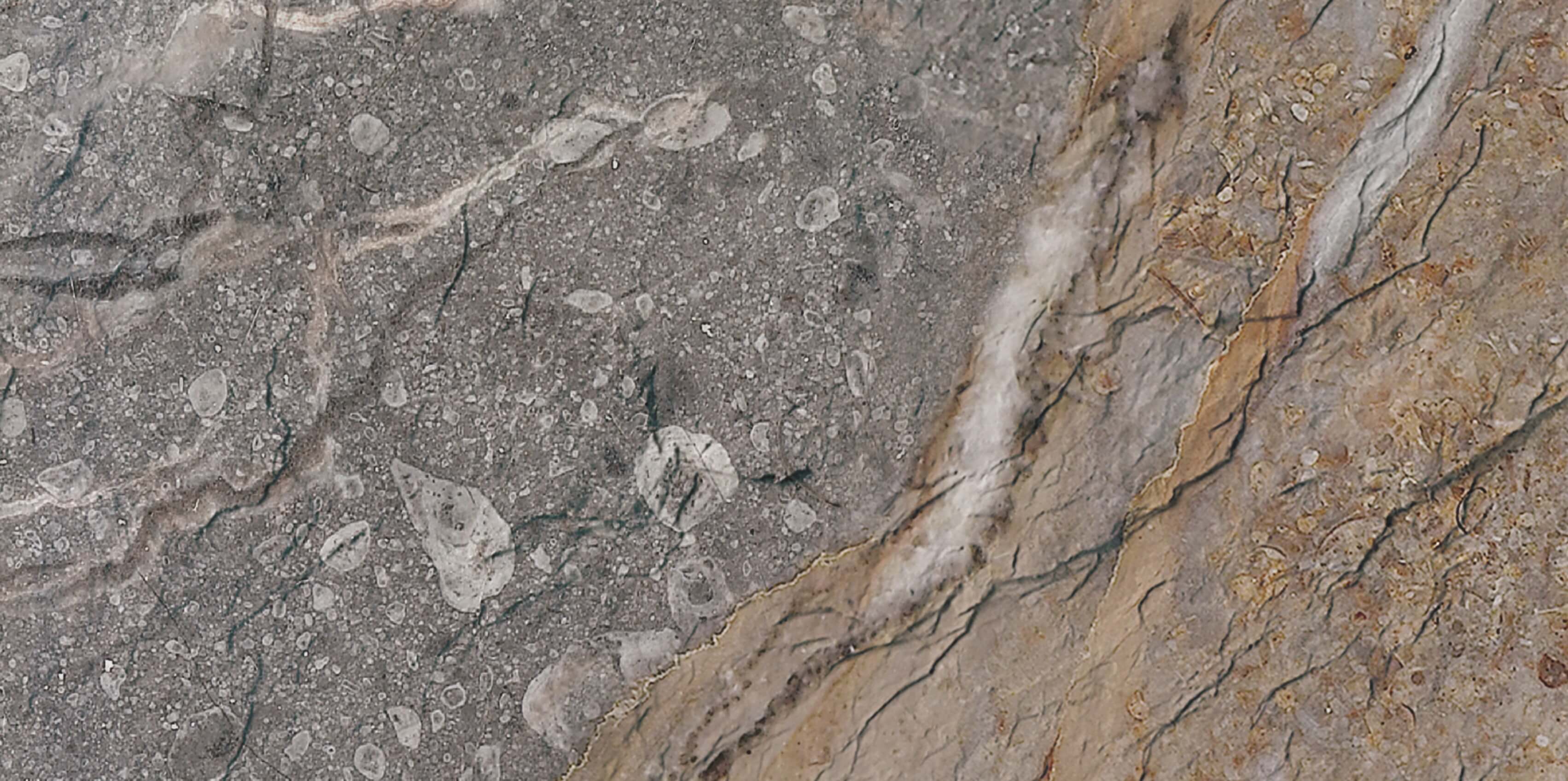 Rock Mottle Marr&oacute;n 