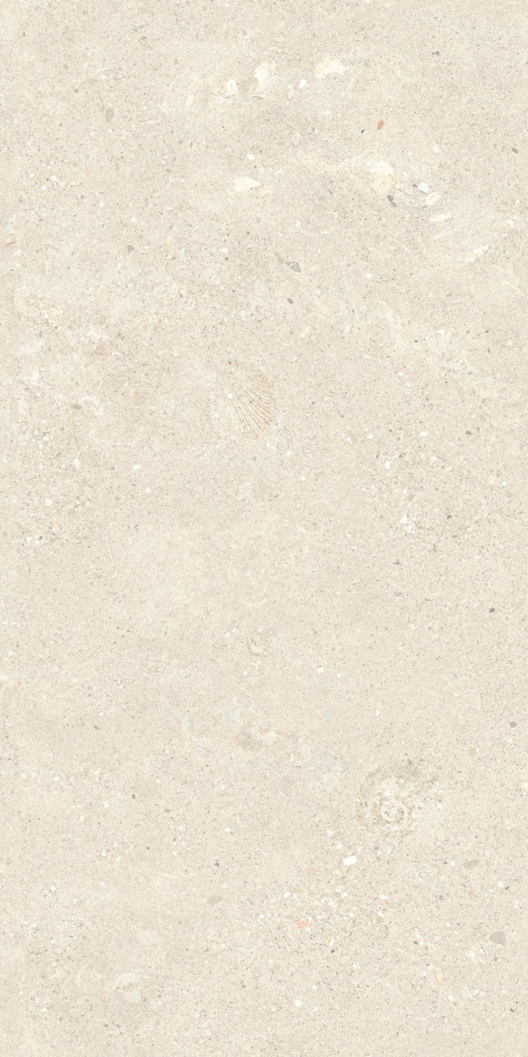 Marble-Shellfish Piedra caliza Beige claro 