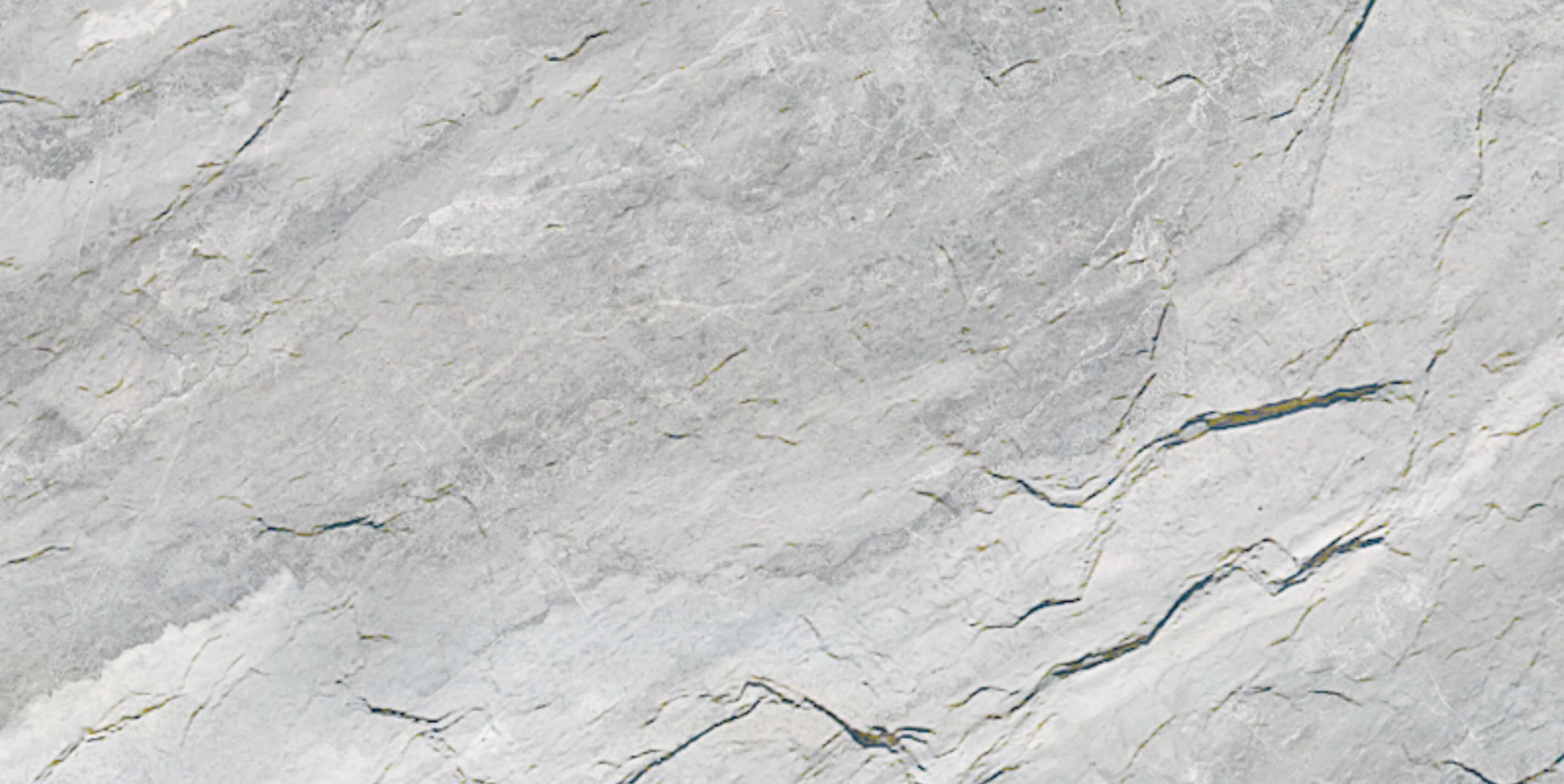 Velo Gris 